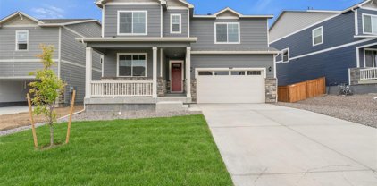 1827 Knobby Pine Dr, Fort Collins