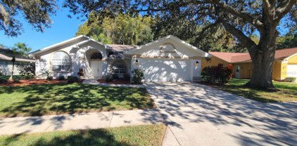 1724 Percheron Drive, Trinity