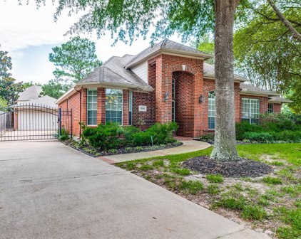 15814 Birchview Drive, Tomball