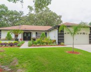 10940 Highview Drive, Dade City image