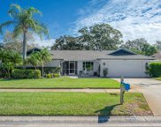 3255 Sandy Ridge Drive, Clearwater image