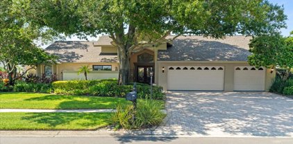 13744 Chestersall Drive, Tampa