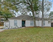 218 Oakwood Drive, Spring image