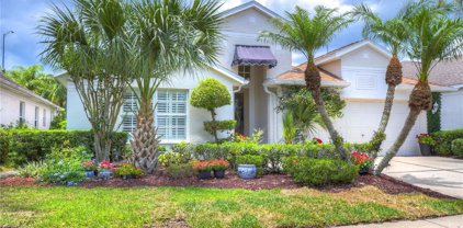 5601 Terrain De Golf Drive, Lutz