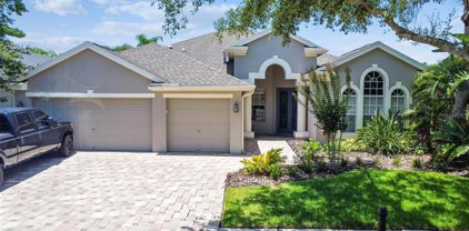 10408 Snowden Place, Tampa