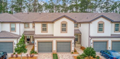 323 Orchard Pass Avenue, Ponte Vedra