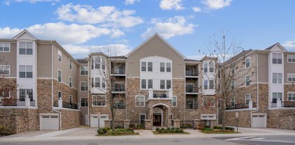 7201 Travertine Dr Unit #205, Baltimore