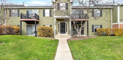 1529 Raymond Drive Unit #101, Naperville