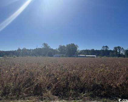 TBD. Red Bluff Rd., Loris