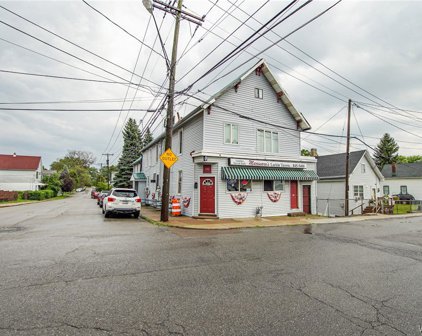 131 Van Rensselaer  Street, Buffalo City-140200