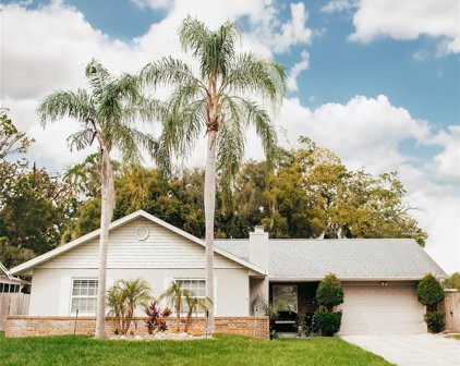 1001 Sapling Drive, Winter Springs