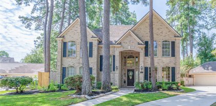 2 Thorncreek Court, The Woodlands