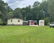 17448 Nw 89th Ter 32693, Fanning Springs image