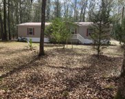 358 Ne 249th Ave 32680, Old Town image