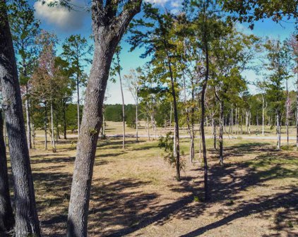 15483 Aniston Lane (LOT 1), Flint