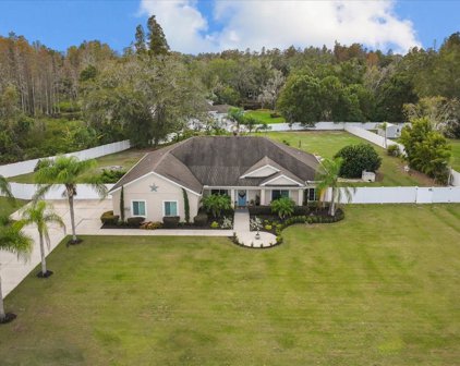 521 Cullaro Lane, Lutz