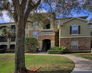 2402 Courtney Meadows Court Unit 304, Tampa image