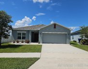 220 Sparrow Hawk Drive, Groveland image
