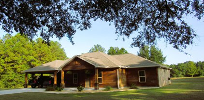788 Blue Pond Lane, Ponce De Leon