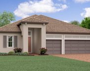 12240 Violet Jasper Drive, Parrish image