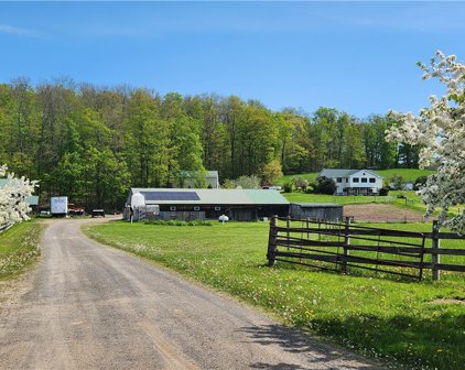 7880 State Route 79 Road, Barker