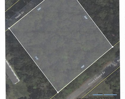 Ponderosa Road, Summerville