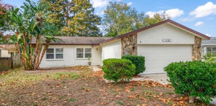 1390 Windmoor Drive, Dunedin