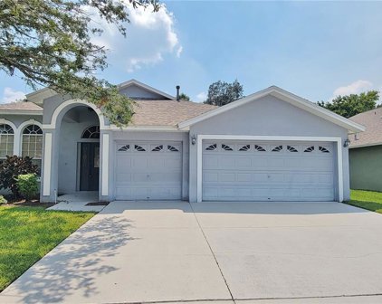 1231 Big Creek Drive, Wesley Chapel