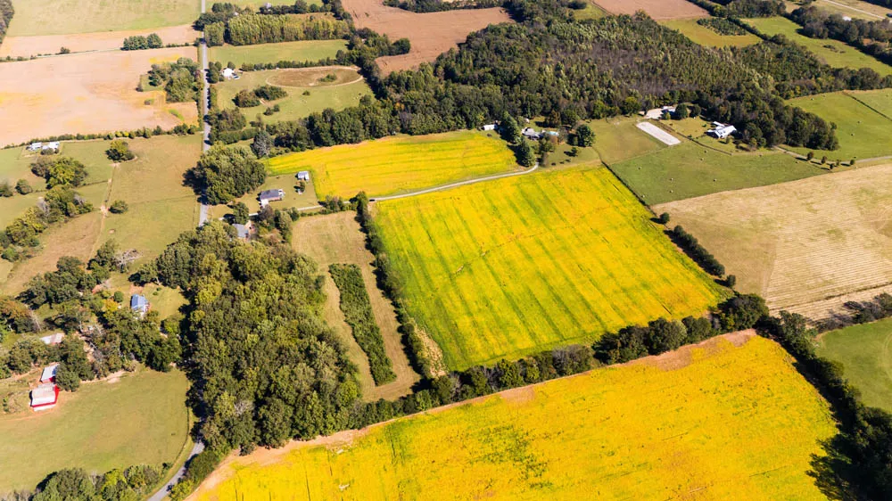 Western & Central Tennessee land for sale