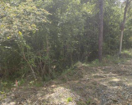 xx Lot # 7 Castle, Glenwood