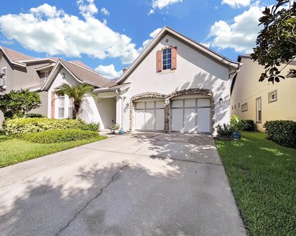 11533 Meridian Point Drive, Tampa