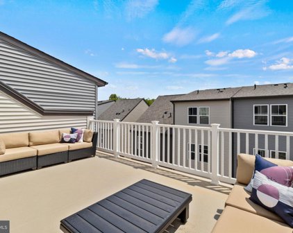 14194 Gypsum Loop, Chantilly