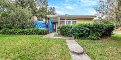 3601 River Grove Drive, Tampa