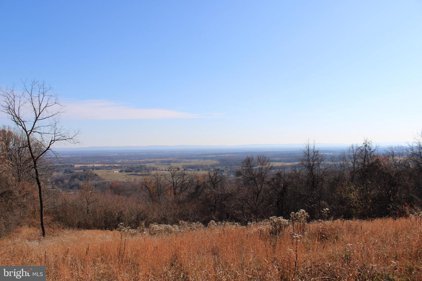 21.66 acres Off Trinity Church Rd & Reelbirch, Martinsburg
