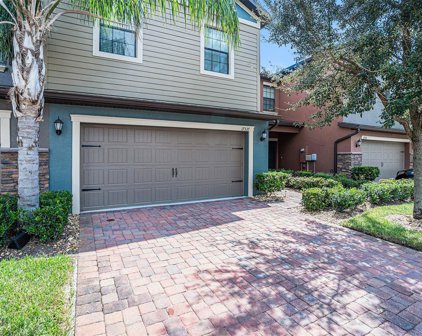 17337 Old Tobacco Rd, Lutz