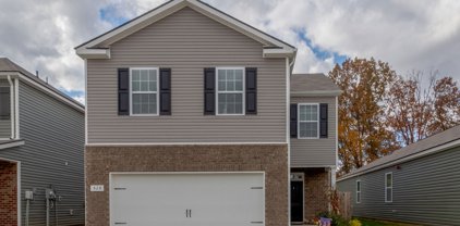 528 Spangler Ln, Ashland City
