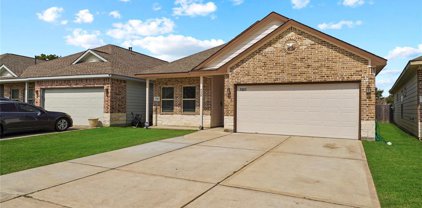 7227 Foxtail Meadow Court, Humble