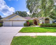 3909 Buckingham Loop Drive, Valrico image