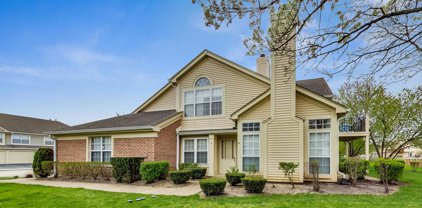 346 Ashford Circle Unit #4, Bartlett