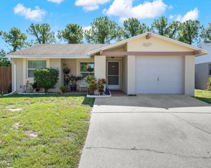 6452 Reef Circle, Tampa