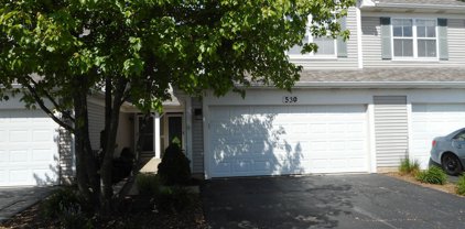 530 Horizon Drive, Bartlett