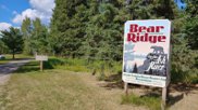 10339-Lot 4 Ash River Trail, Orr image
