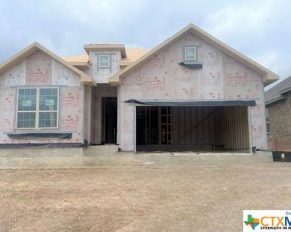 327 Sonata Canyon, Spring Branch