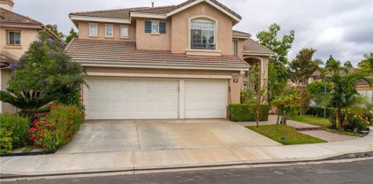 9 Arbusto, Irvine