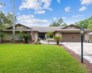 3705 Lithia Ridge Boulevard, Valrico image