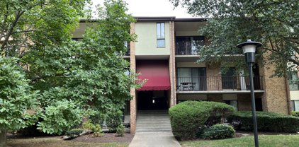 13213 Dairymaid Dr Unit #203, Germantown