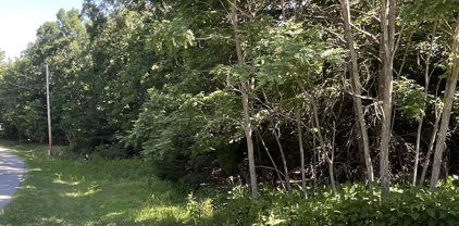 LOT 36 Vintage  Cir, Rocky Mount