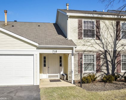 718 Crescent Court Unit #B-1, Bartlett