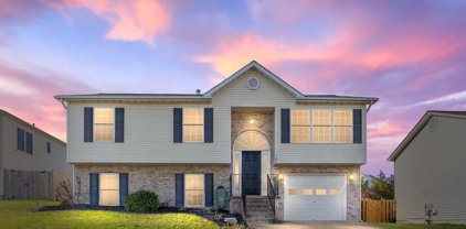 103 Paradise Ct, Stephens City