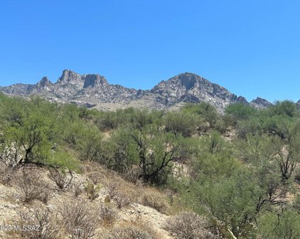 1685 E Buck Hollow, Oro Valley
